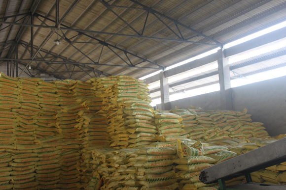 Bước ngoặt trên thị trường phân bón 